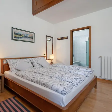 House Plavcic Holiday home *